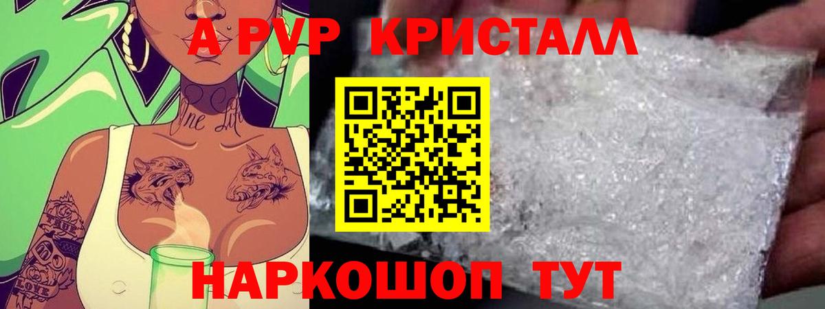 Альфа ПВП СК Хасавюрт