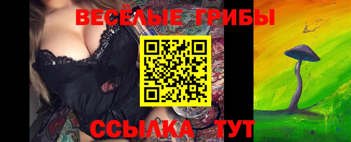 Галлюциногенные грибы GOLDEN TEACHER  Вход с VPN  Хасавюрт 