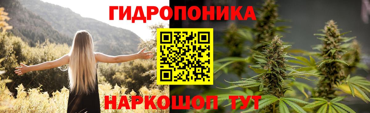 МАРИХУАНА марихуана Хасавюрт